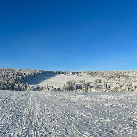 009 Borová Lada