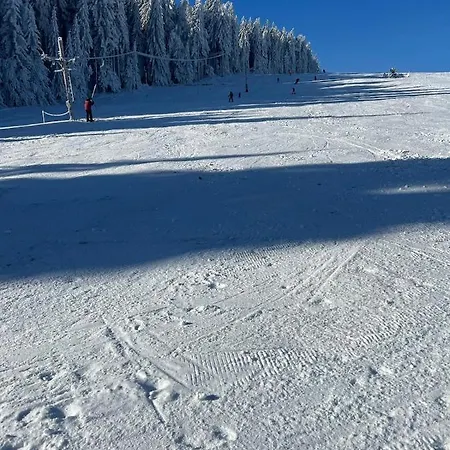 009 Borová Lada