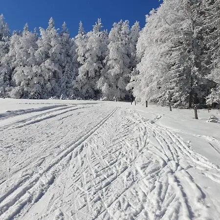 009 Borová Lada