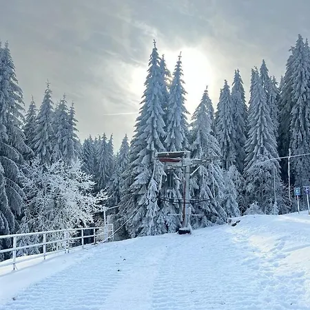 009 * Borová Lada