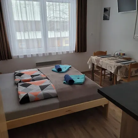 009 Apartment Borova Lada