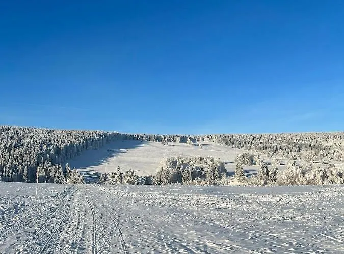 009 Borová Lada