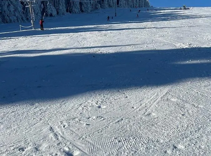 009 Borová Lada