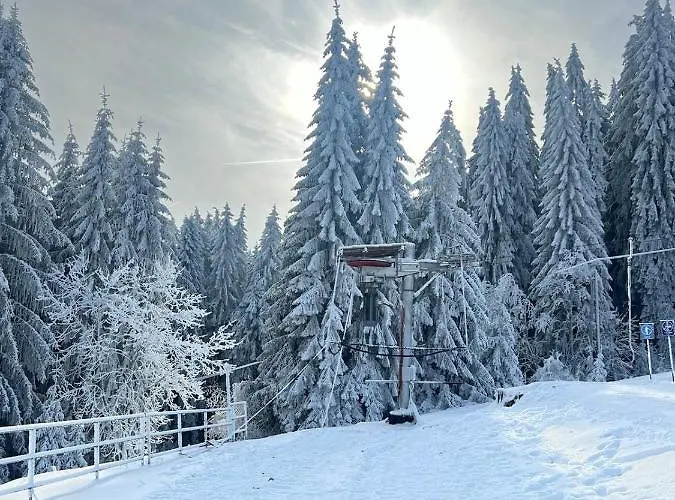 009 * Borová Lada